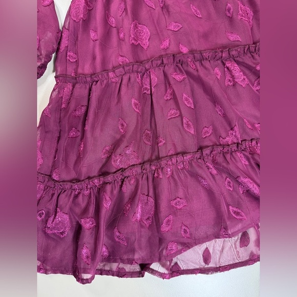 Fall Whimsigoth Lined Mini Dress with Cinched Waist Glitter Rose Mesh Medium - Picture 14 of 14